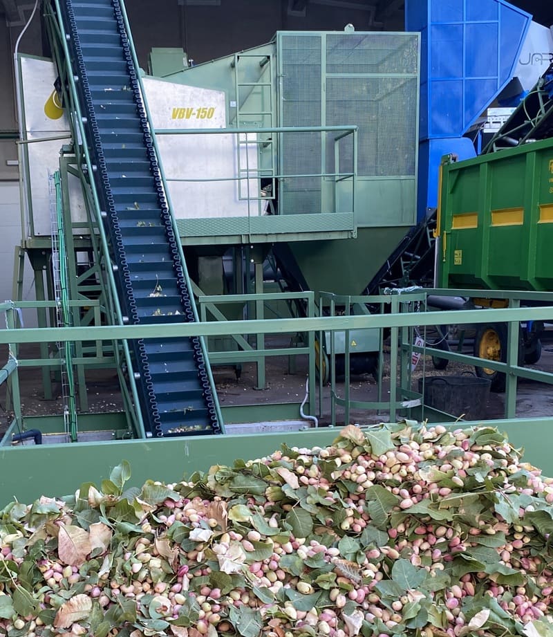 impianto di lavorazione del pistacchio