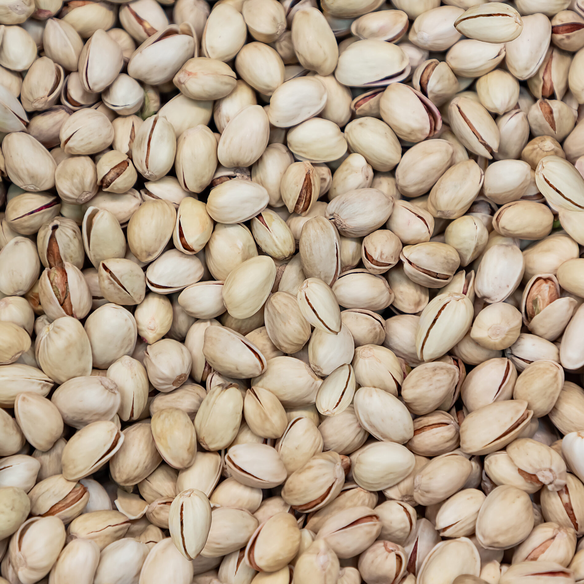 Pistacchi all'ingrosso Vendita di pistacchi sfusi