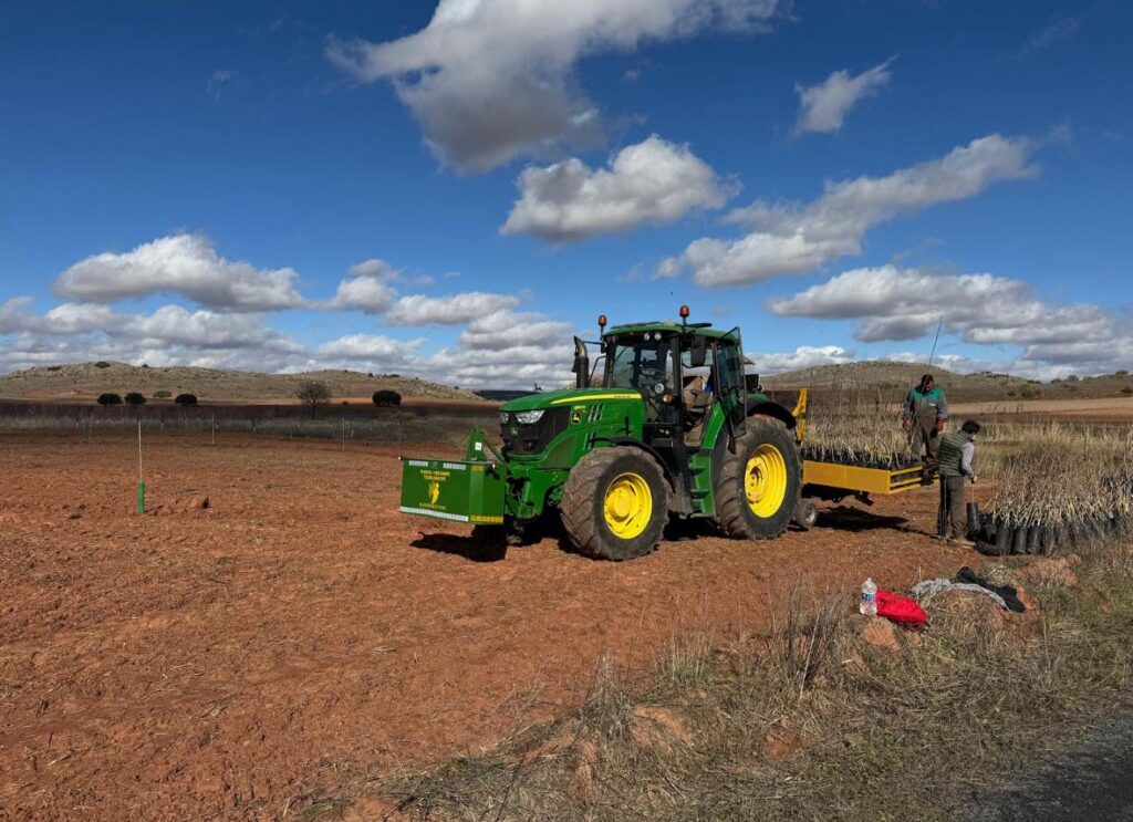 Guida alla semina del pistacchio