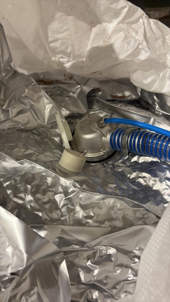 Pistacho espanol en primavera